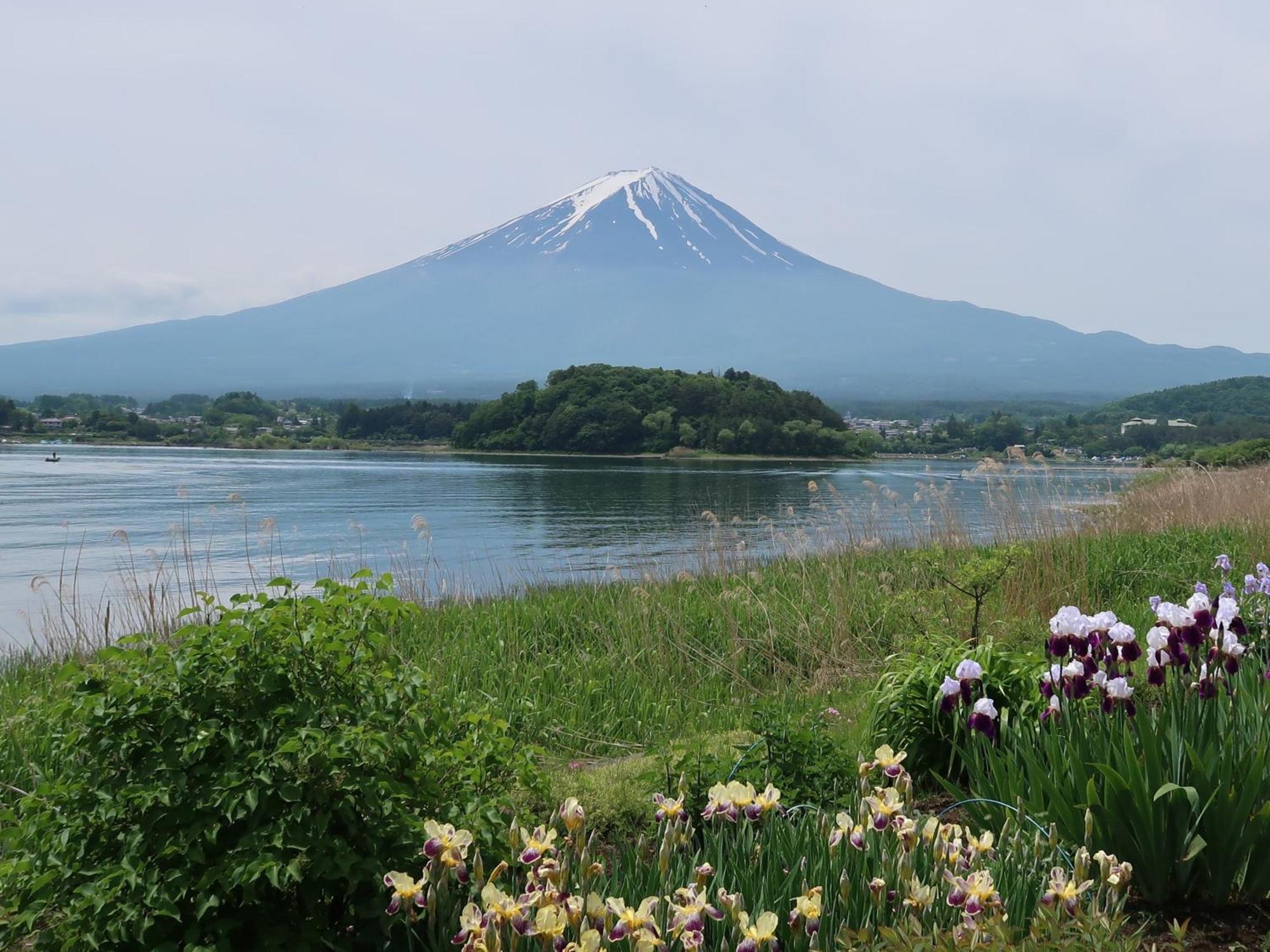 富士河口湖Kuranoyado Matsuya别墅 外观 照片