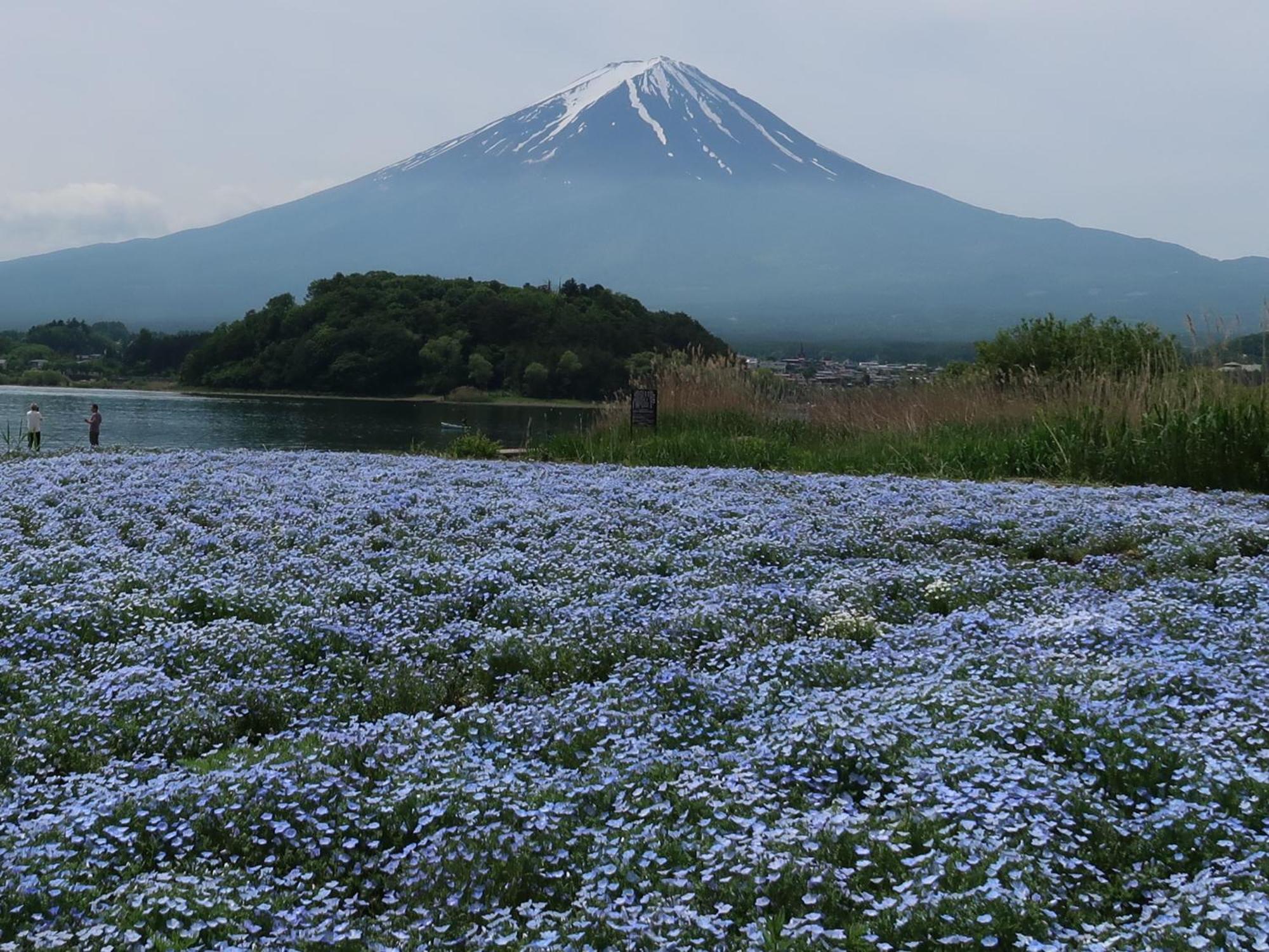 富士河口湖Kuranoyado Matsuya别墅 外观 照片